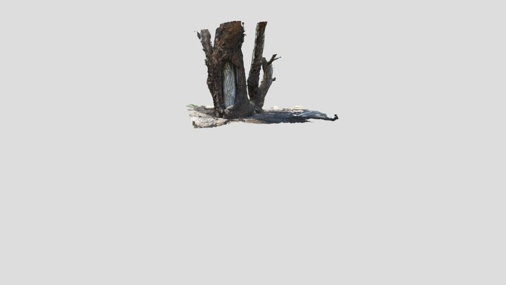 Figure 8 Garra TST Main 3D Model