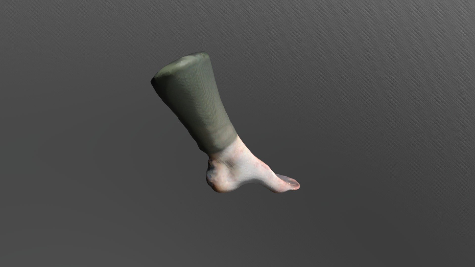 Model2 Foot
