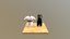 Loading 3D Model