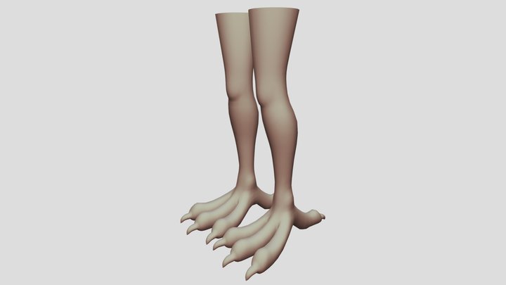 Bird Feet 3D Model