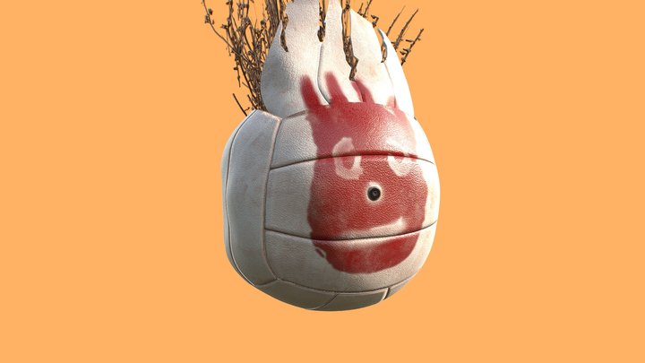 Wilson Volley Ball 3D Model