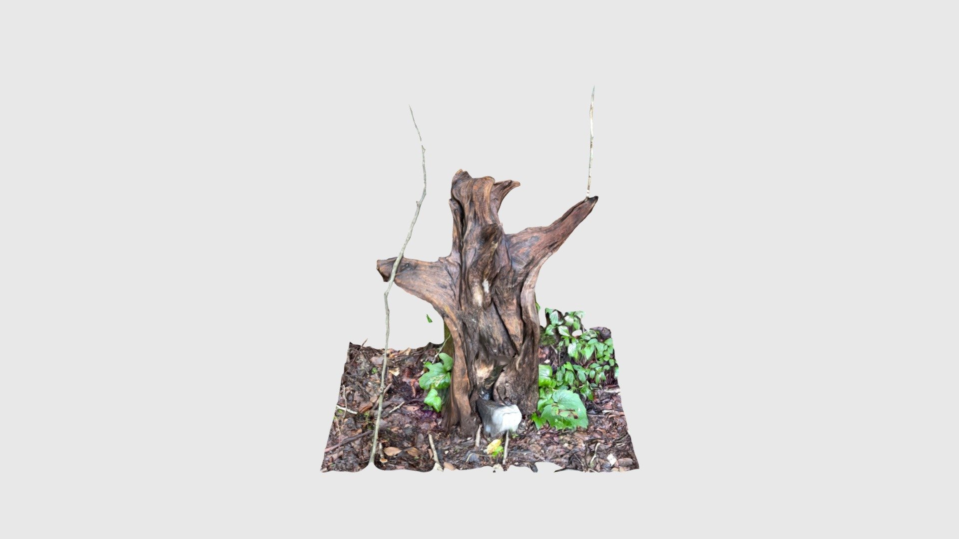 樹朗くん — Sketchfab embed 3D viewer