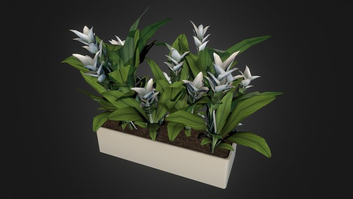 Flower pot 3D Model