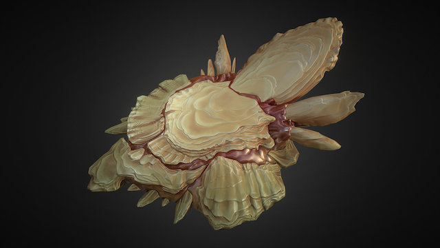 Bridge Shell 3D Model