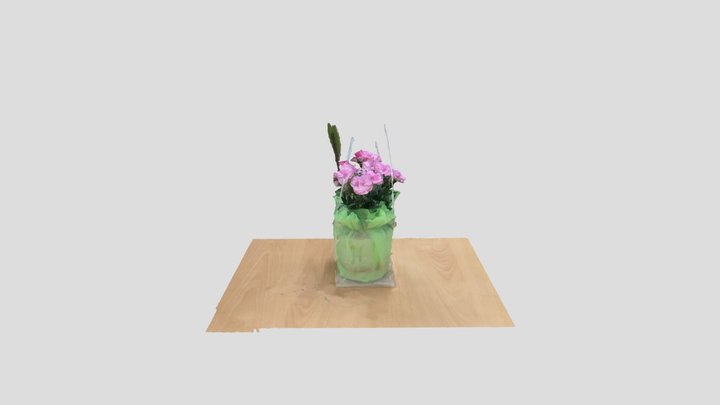 Flower 3D Model