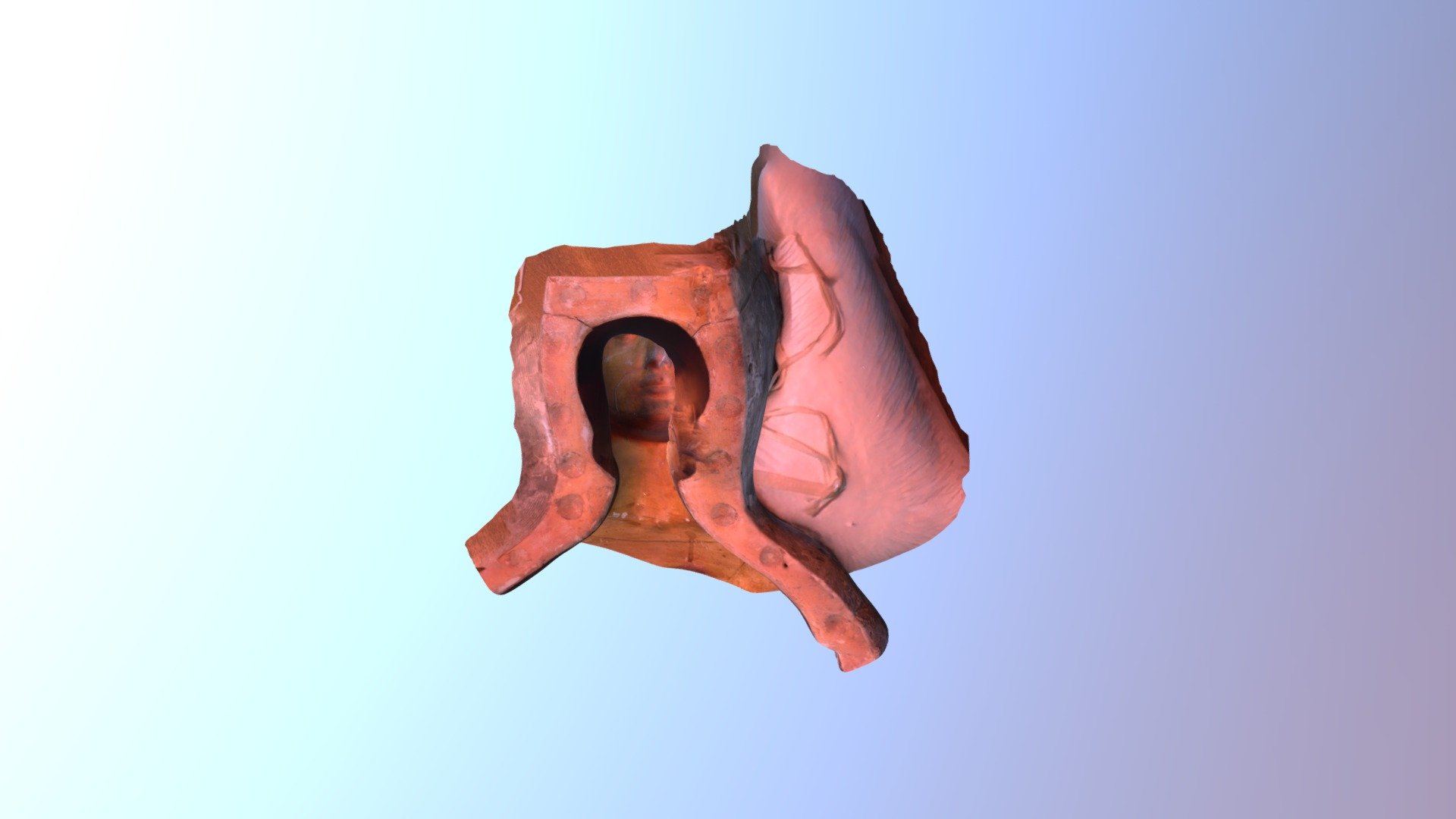 bust