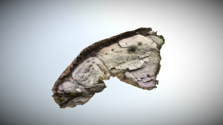 Cup-marked stone on Westing, Unst, Shetland 3D Model