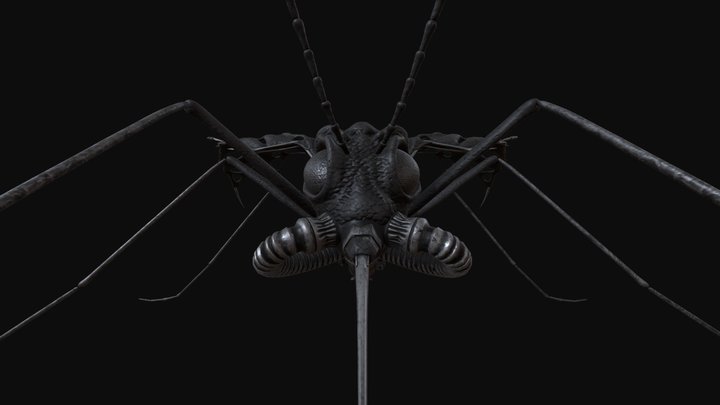 PASKUDA 3D Model