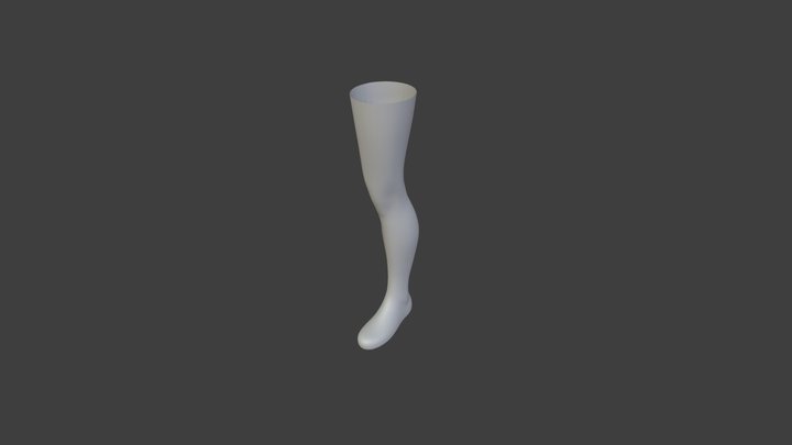 Leg 003 3D Model