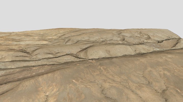 Desert Floor 3D Model