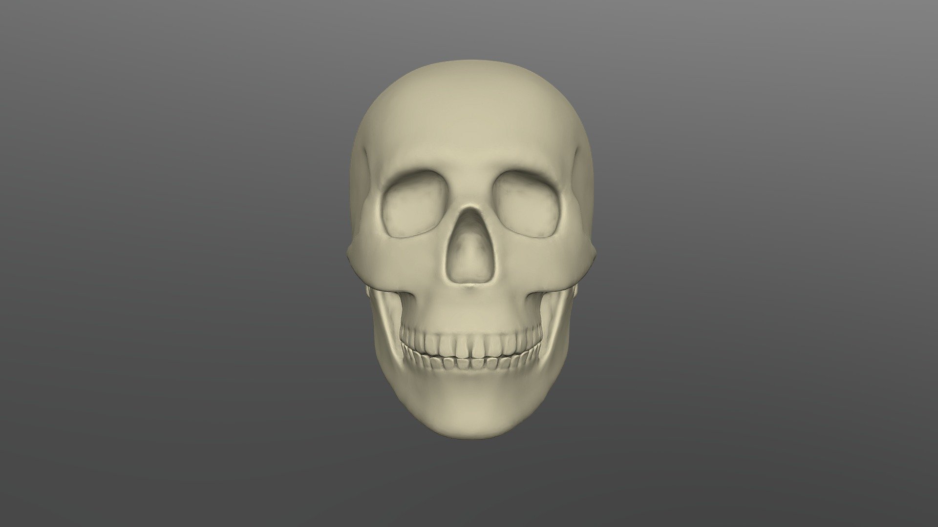 Skull Download Free 3d Model By Fabian Espinosa Fabianespinosa 4b232a3 Sketchfab 1011