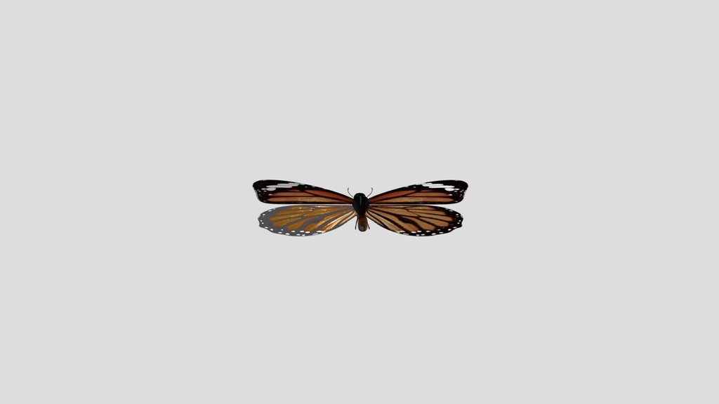 Butterfly Rigged