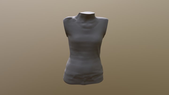 Buste2 Ter V2 3D Model