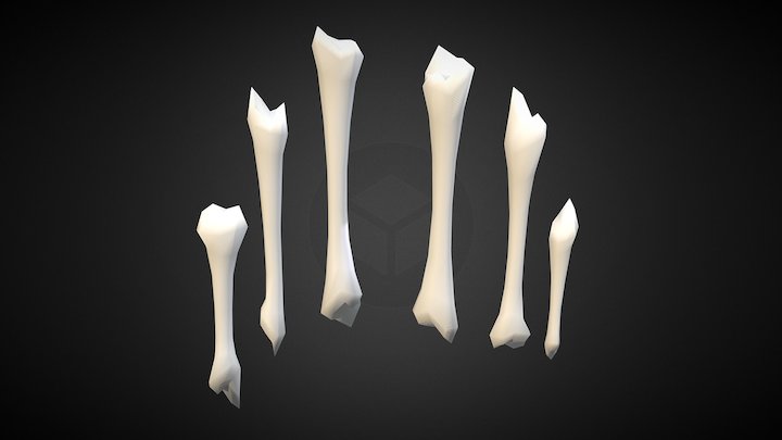 Low Poly Bones 3D Model