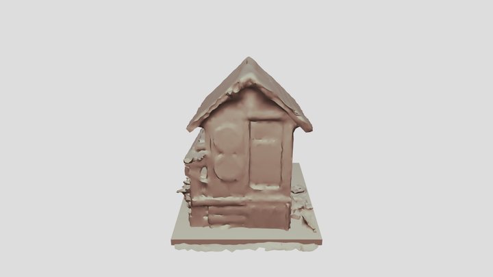 Shed photogrammetry w/micro drone