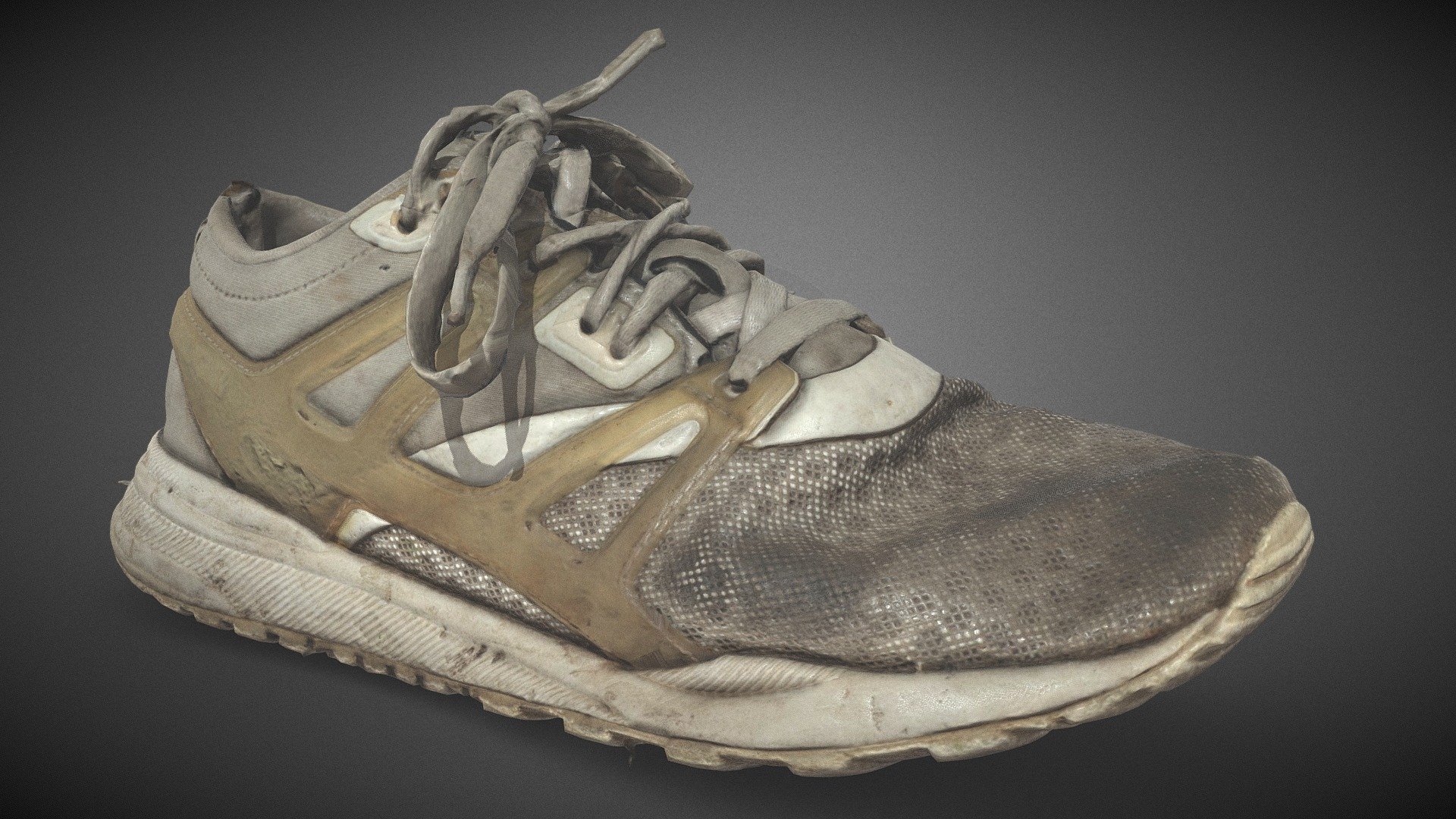 Reebok Ventilator damaged shoe - Buy Royalty Free 3D model by 3DSCANFR ...