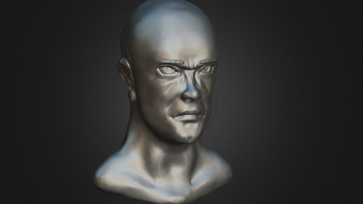 Hitman Bust 3D Model