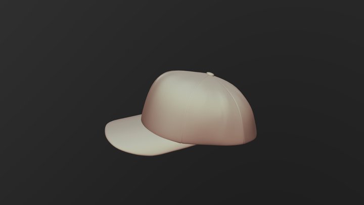 CAP 3D Model