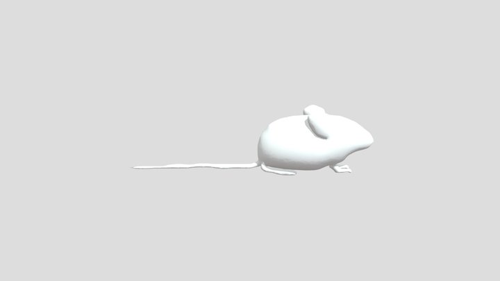 Mm Project (1) 3D Model