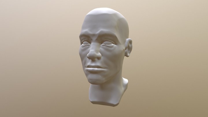 Male Portrait Study 01 3D Model