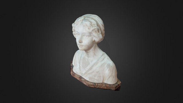 Busto Fotografia 3D Model