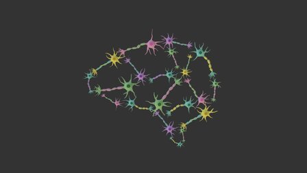 Neural Network 3D Model