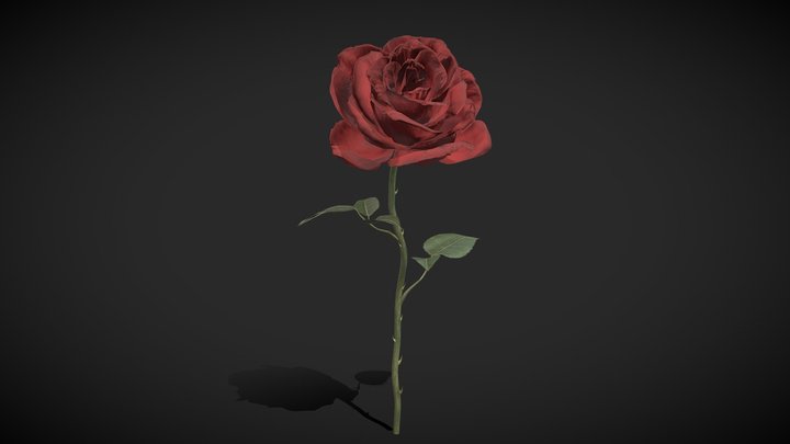 Red Rose - low poly 3D Model