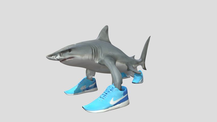 Tralalero tralala 3D Model