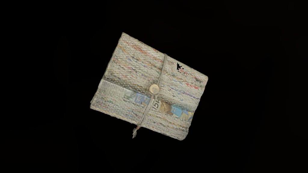 G1 Emily Journal