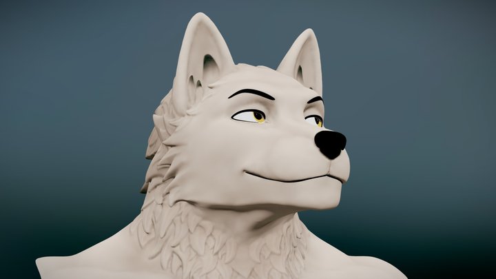 Coy Wolf 3D Model