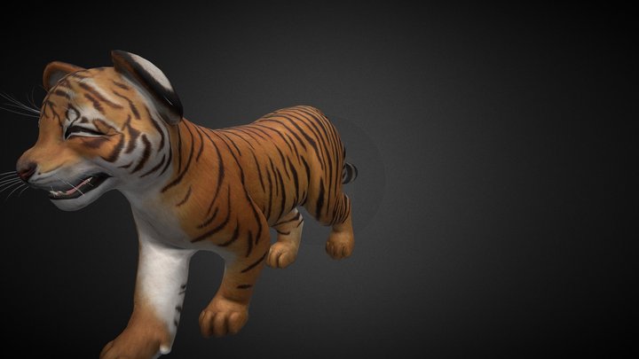 Baby Tiger Walk 3D Model
