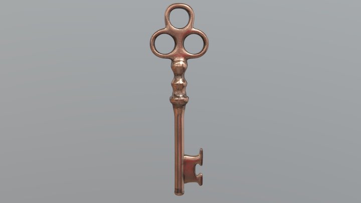 key_copper 3D Model