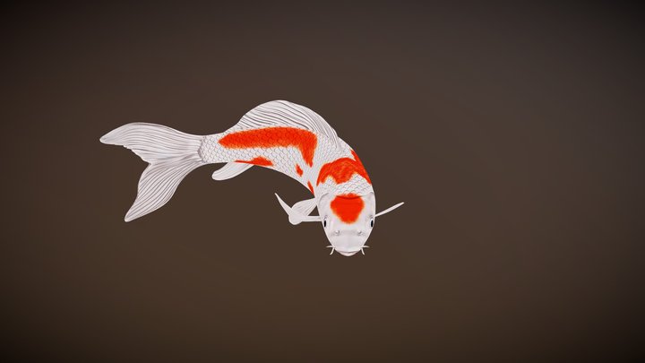 Koi 3D Model