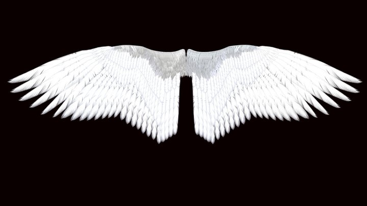 Wings - Made for Unreal MetaHuman 3D Model