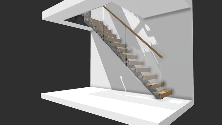Broom Park 3D Model