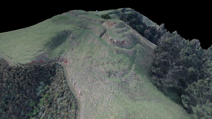Karangaumu Pa 3D Model
