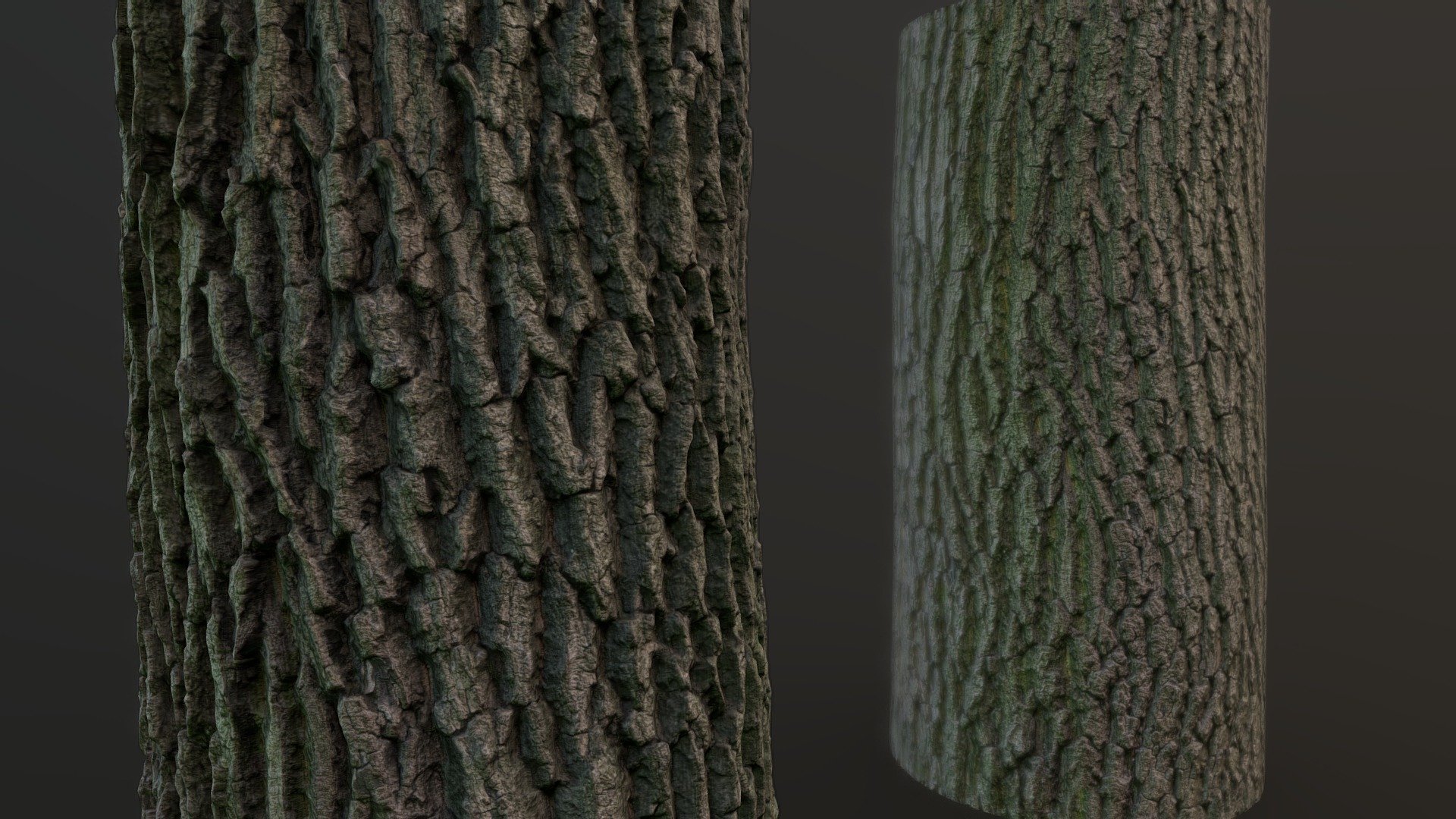 Bark Material Photogrammetry