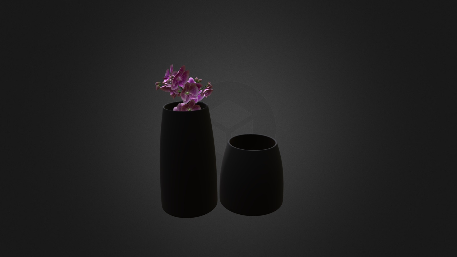 3D model Orchid Flower in Glass Pot - This is a 3D model of the Orchid Flower in Glass Pot. The 3D model is about a couple of vases with flowers in them.