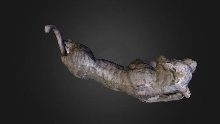 bengal tiger 3D 3D Model
