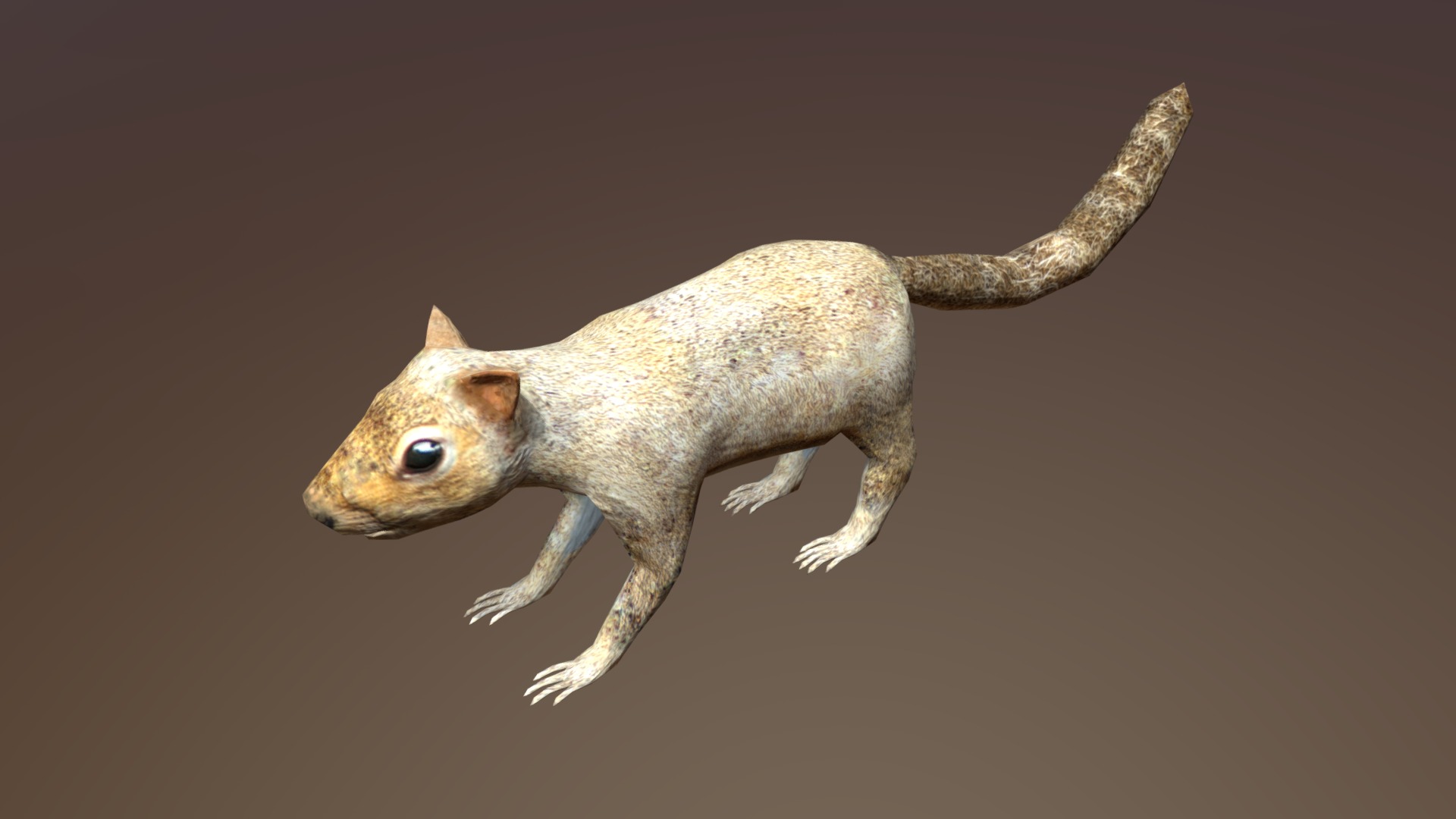 3D model Squirrel (old) - This is a 3D model of the Squirrel (old). The 3D model is about a small lizard on a black background.