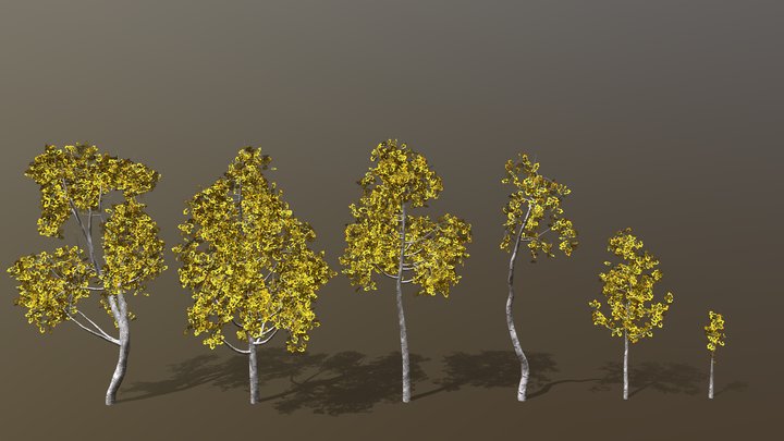 Quaking Aspen Trees 3D Model
