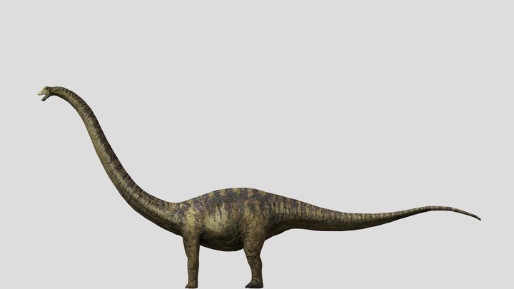 DracoWarrior's Mamenchisaurus – Modello 3D gratuito STL