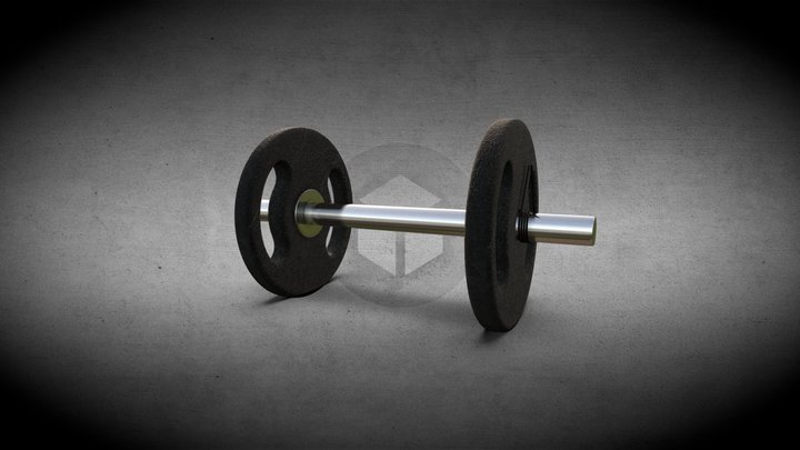 Haltere_HighPoly 3D Model