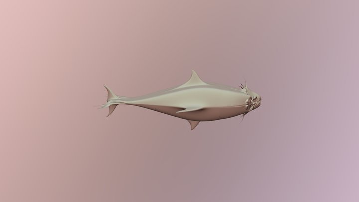 Shark 3D Model