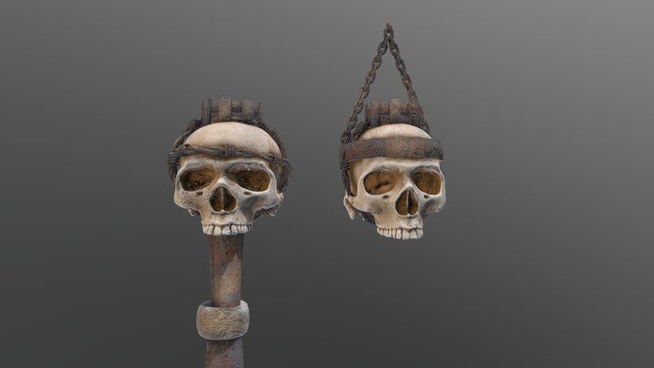 Skull Light 3D Model