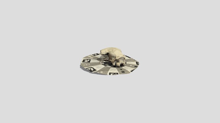 ROUND TWO 3D Model