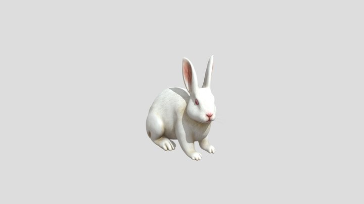 KElINCI 3D Model