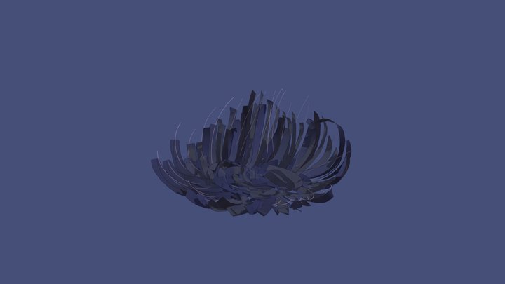 dny 3D Model