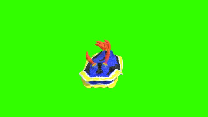 sea_slug__chromodoris_annae green screen 3D Model