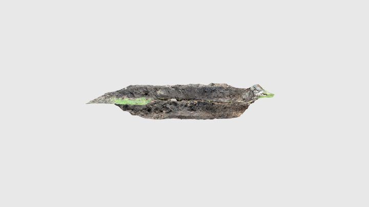 Trench 1 3D Model